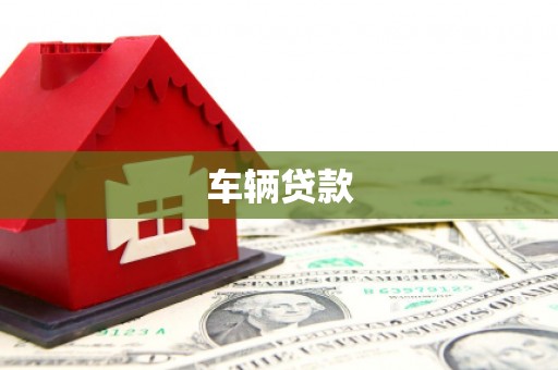 靖西车辆贷款