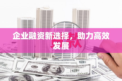 靖西企业融资新选择，助力高效发展