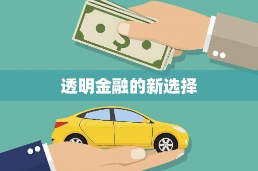 靖西透明金融的新选择