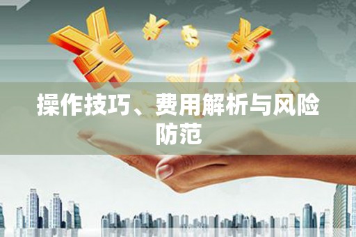 靖西操作技巧、费用解析与风险防范