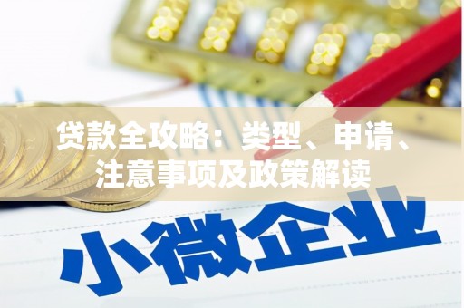 靖西贷款全攻略：类型、申请、注意事项及政策解读