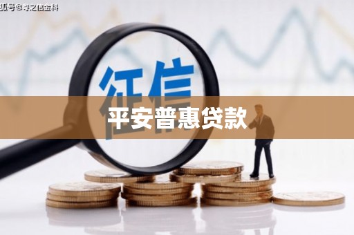靖西平安普惠贷款