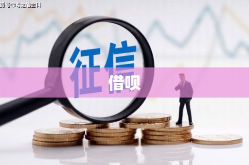 靖西借呗