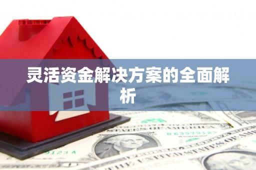 靖西灵活资金解决方案的全面解析