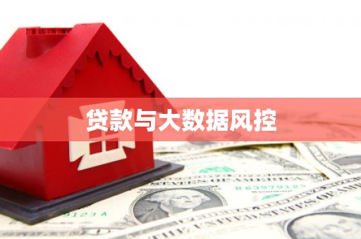 靖西贷款与大数据风控