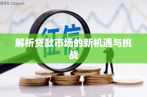 靖西解析贷款市场的新机遇与挑战