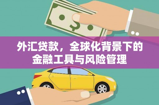 靖西外汇贷款，全球化背景下的金融工具与风险管理