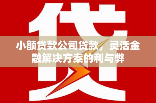 靖西小额贷款公司贷款，灵活金融解决方案的利与弊