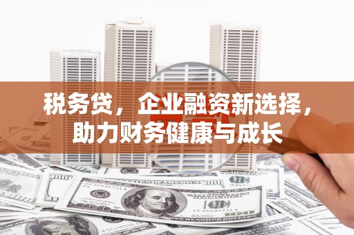 靖西税务贷，企业融资新选择，助力财务健康与成长