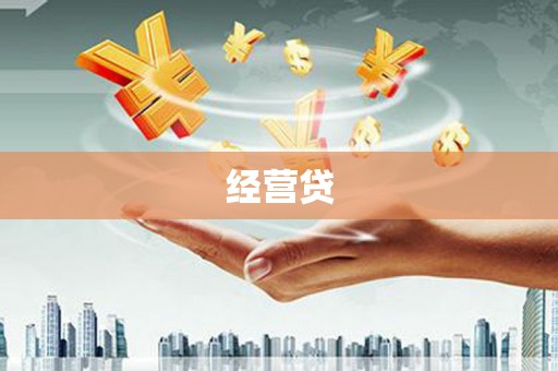 靖西经营贷