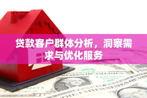 靖西贷款客户群体分析，洞察需求与优化服务